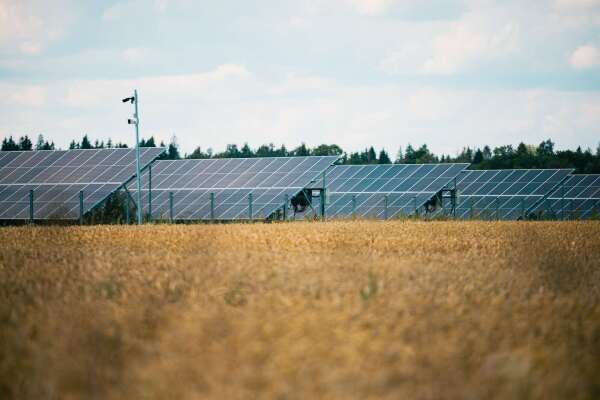 Estijoje bus statomas pirmasis biologinę įvairovę praturtinantis saulės elektrinių parkas