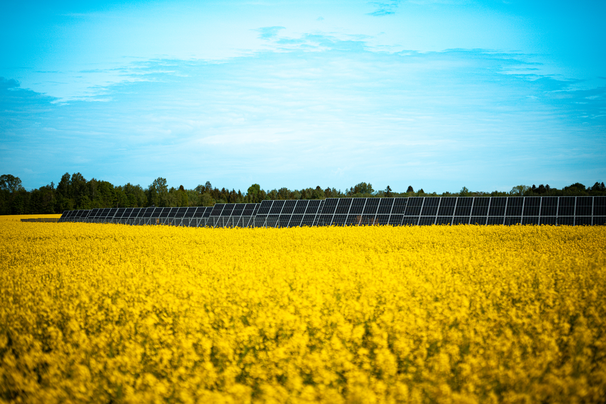 „Sunly“ pritraukė 300 mln. Eurų investiciją