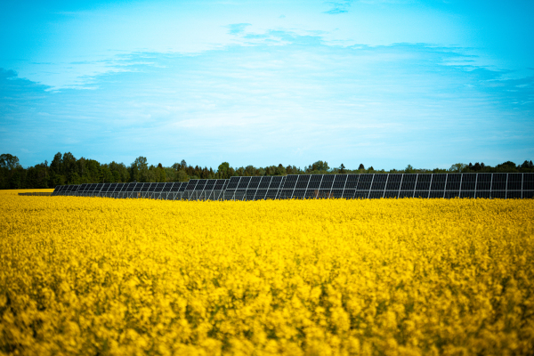 „Sunly“ pritraukė 300 mln. Eurų investiciją